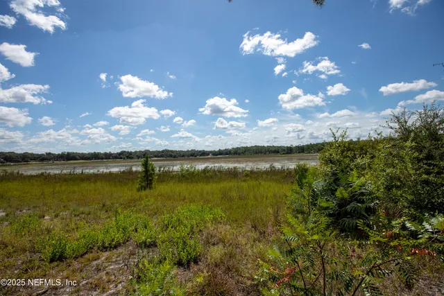 a view of a garden with a lake view