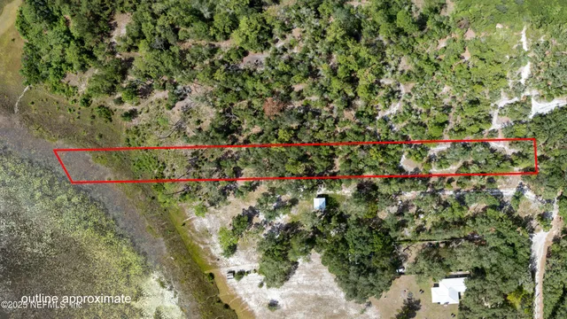 a picture of flowers