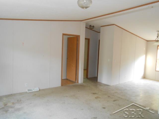 31314744-2.JPG
