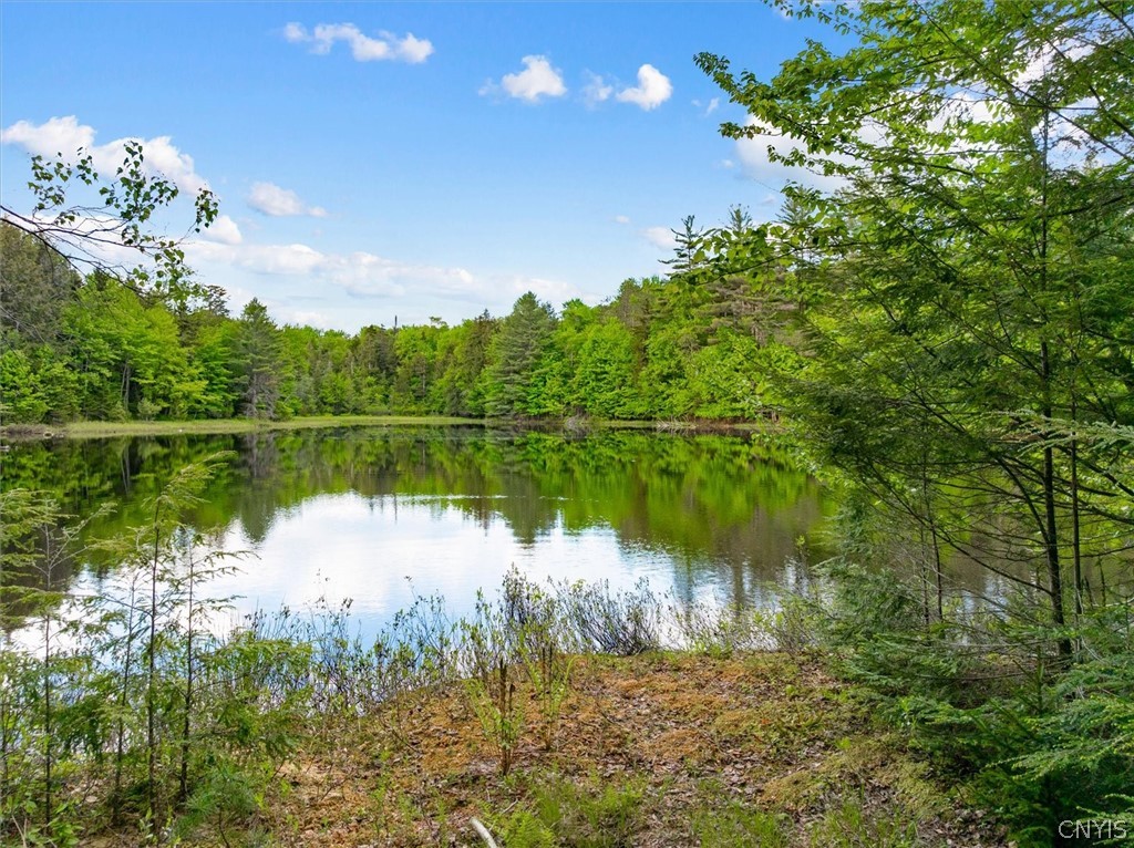 152 Silverstone Road Remsen, NY 13438 - Photo 38 of 50 Gallery Image 38