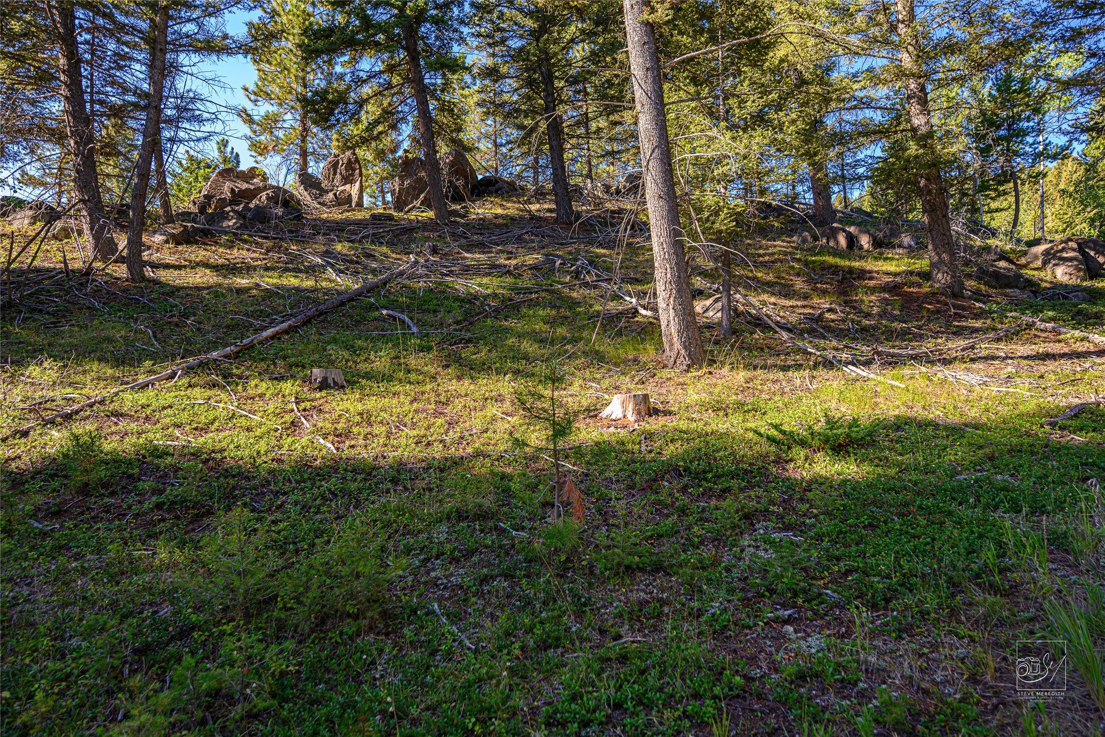 A1 Hill Brothers Road Clancy, MT 59634 - Photo 5 of 26 Gallery Image 5