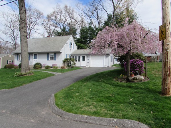 54 Endecott Street Springfield, MA 01118 - Photo 21 of 23 a view of a white house with a small yard plants and a large tree