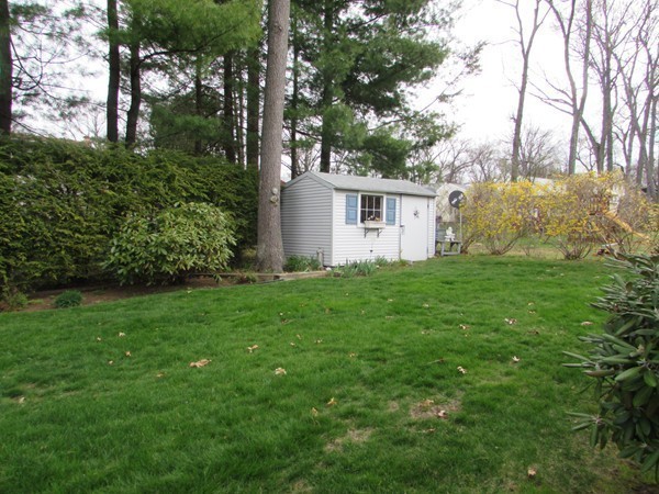 54 Endecott Street Springfield, MA 01118 - Photo 22 of 23 a view of a house with yard and a tree