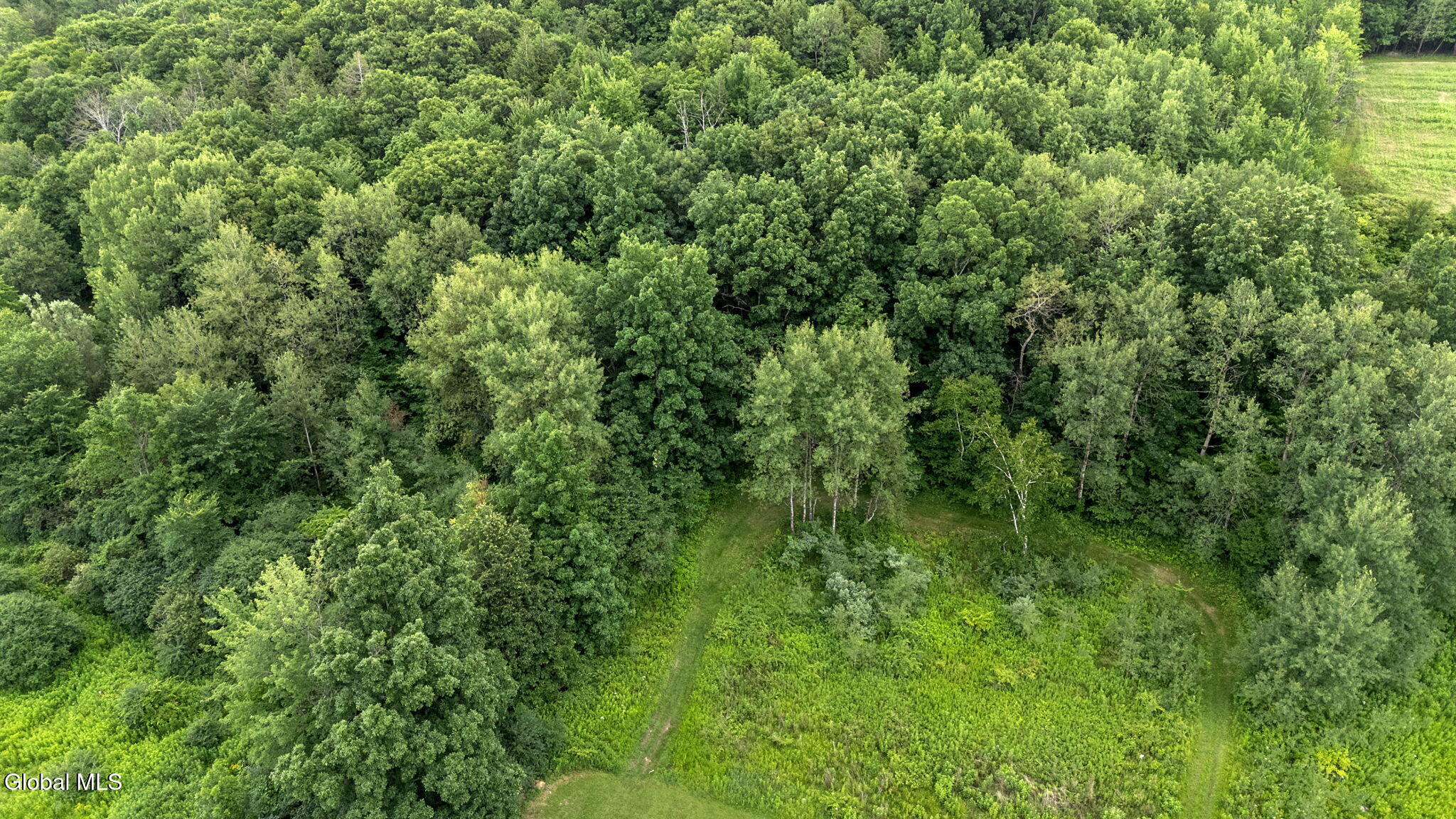 579 South Kelley Road Princetown, NY 12056 - Photo 46 of 51 46-web-or-mls-579-s-kelley-rd