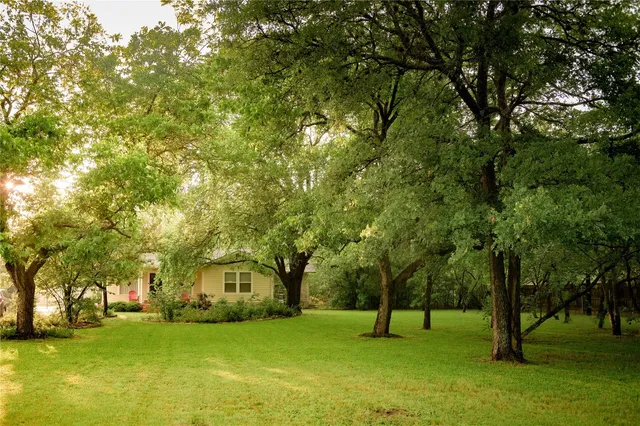 a big yard with large trees