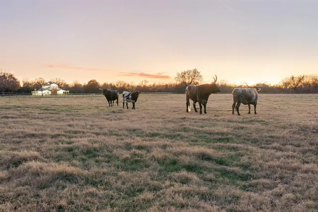 a view of a lake with houses