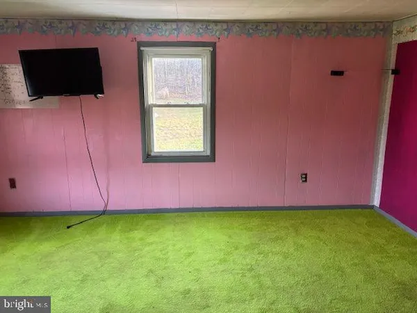 a view of a back yard