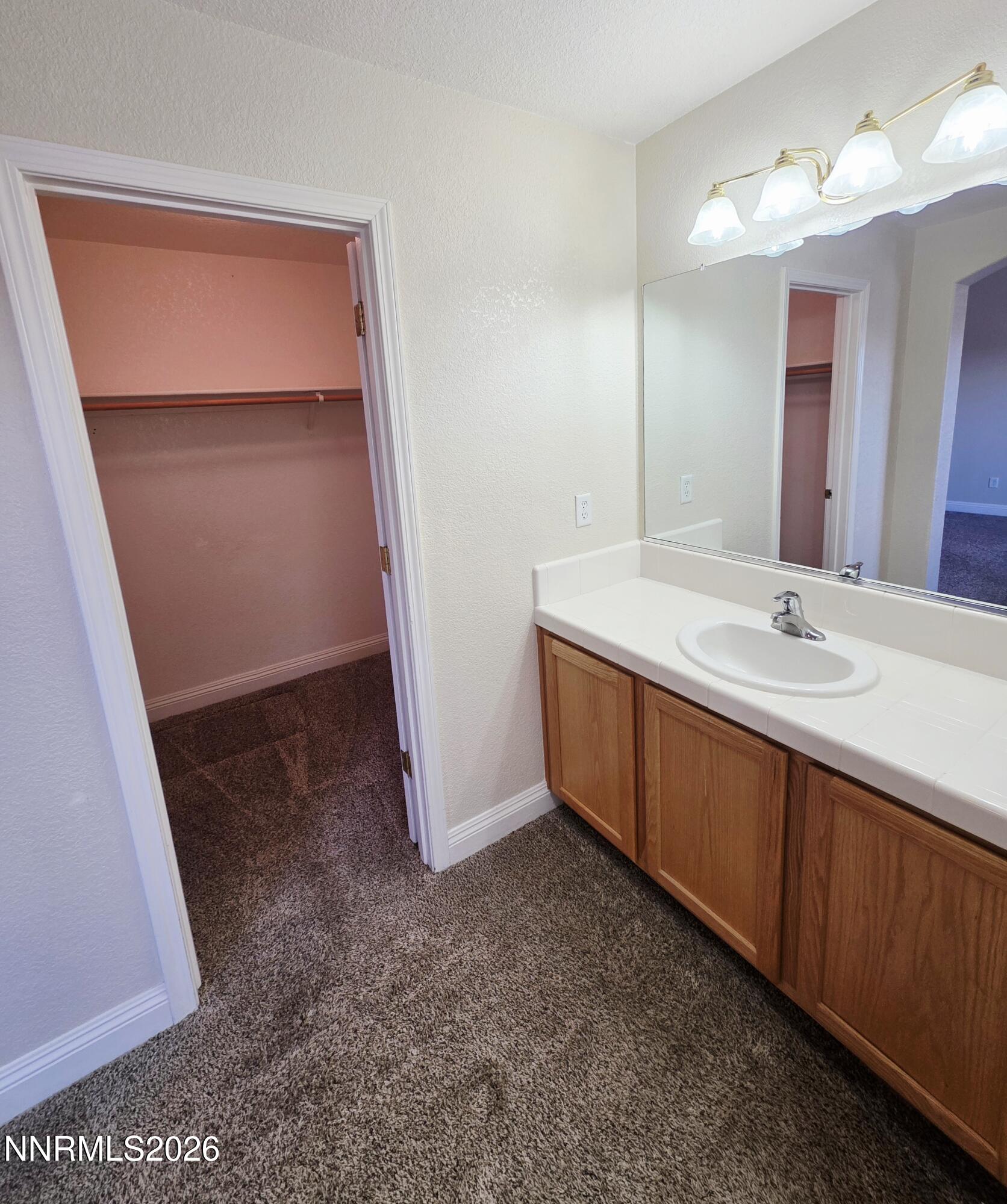 728 Keppel Street Fallon, NV 89406 - Photo 17 of 27 20260112_152415