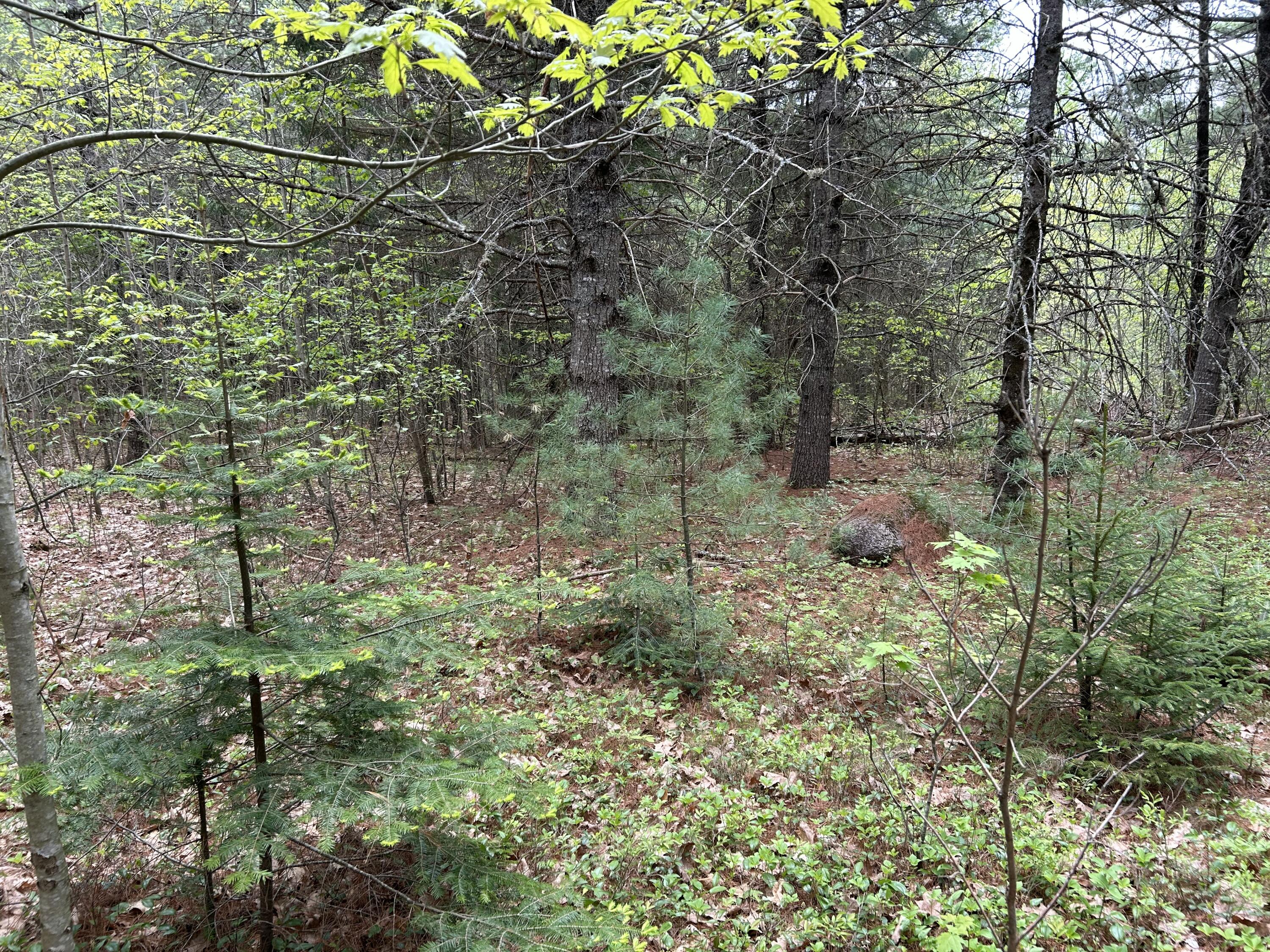 M1-l15 Eastbrook Road Eastbrook, ME 04634 - Photo 29 of 31 IMG_8609