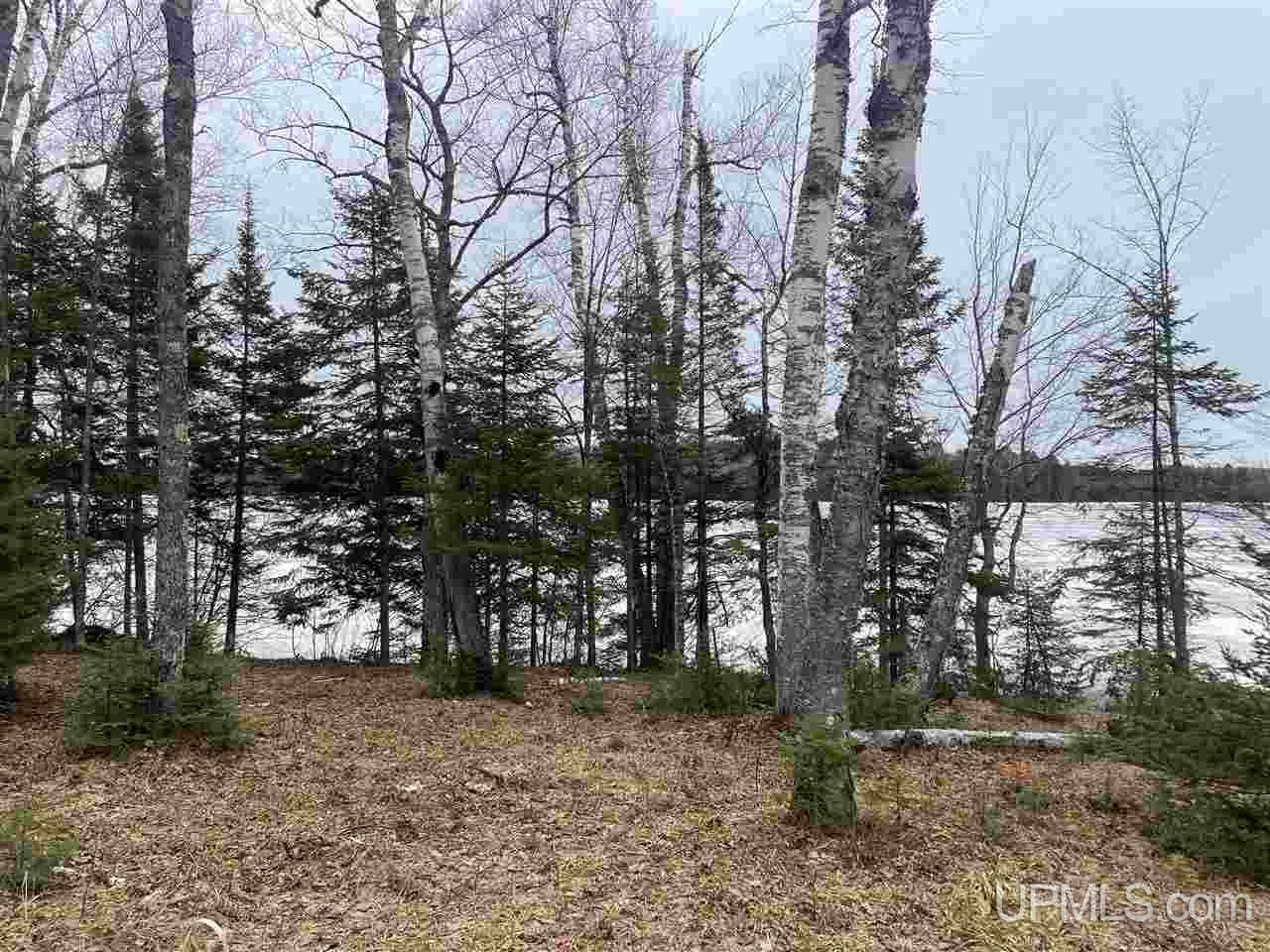 Tbd West Tamarack Lake Road, Unit 17 Iron River, MI 49935 - Photo 19 of 45