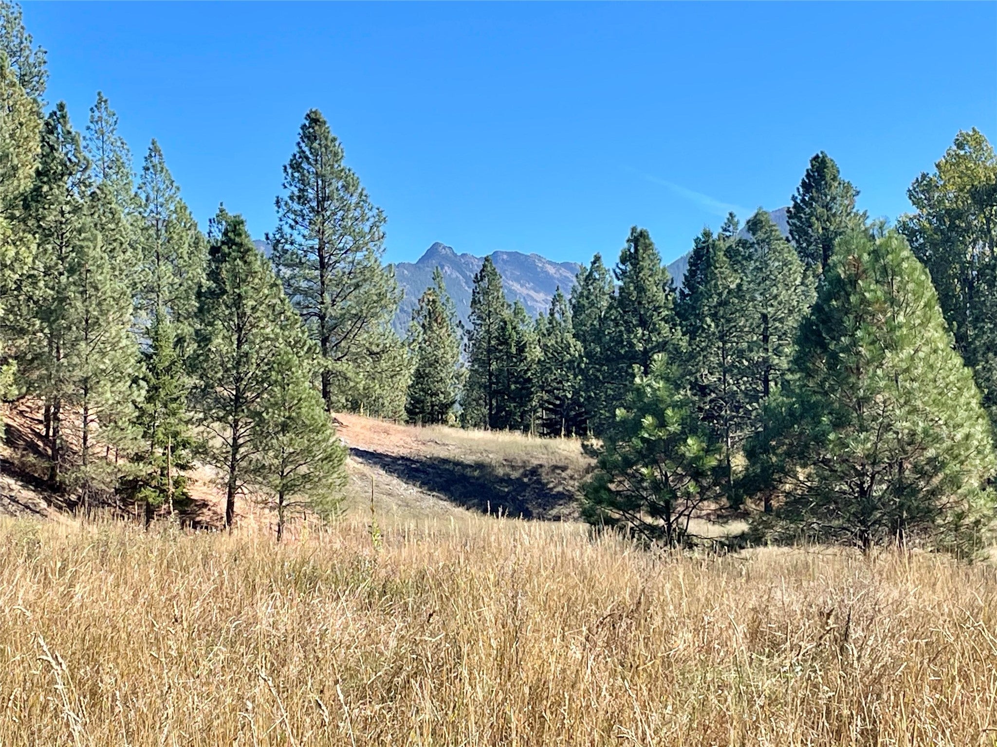 Nhn Terrace Lake Road Ronan, MT 59864 - Photo 1 of 1 Mountain view