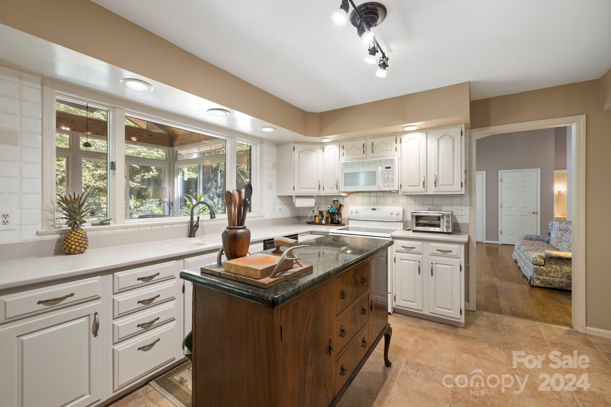 23 Legendary Road Hendersonville, NC 28739 - Photo 10 of 41 Gallery Image 10