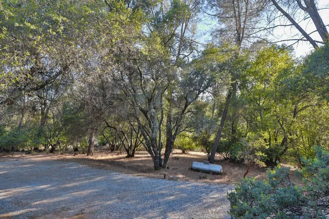 a view of road and trees