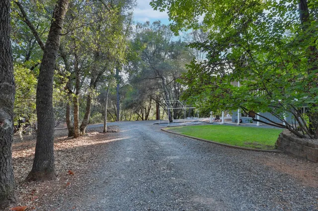 a view of a park with large trees