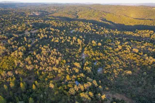 a view of city and ocean