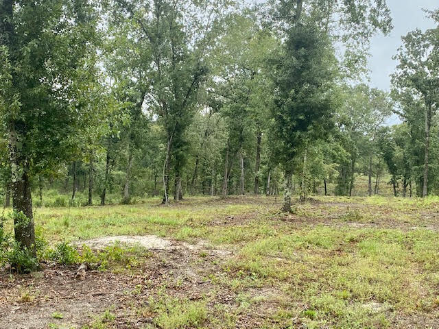 Tbd Redds Branch Road Aiken, SC 29801 - Photo 14 of 23