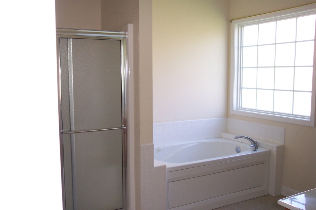 3532 Pinnacle Ridge Road Northeast Roanoke, VA 24012 - Photo 10 of 18 Master Bath