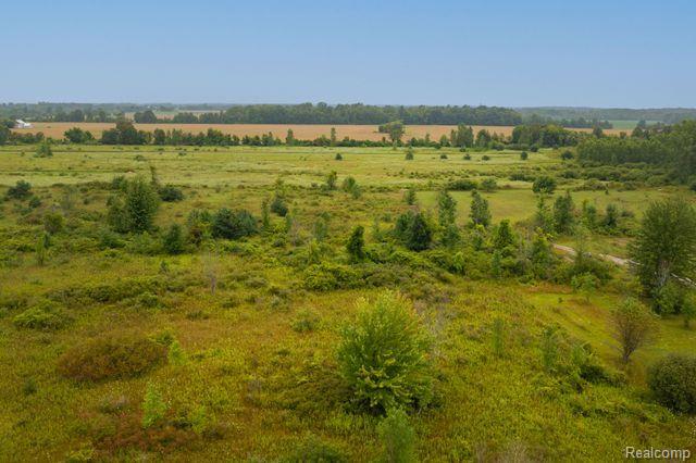Vacant Land Mortimer Line Road Lexington, MI 48450 - Photo 5 of 7