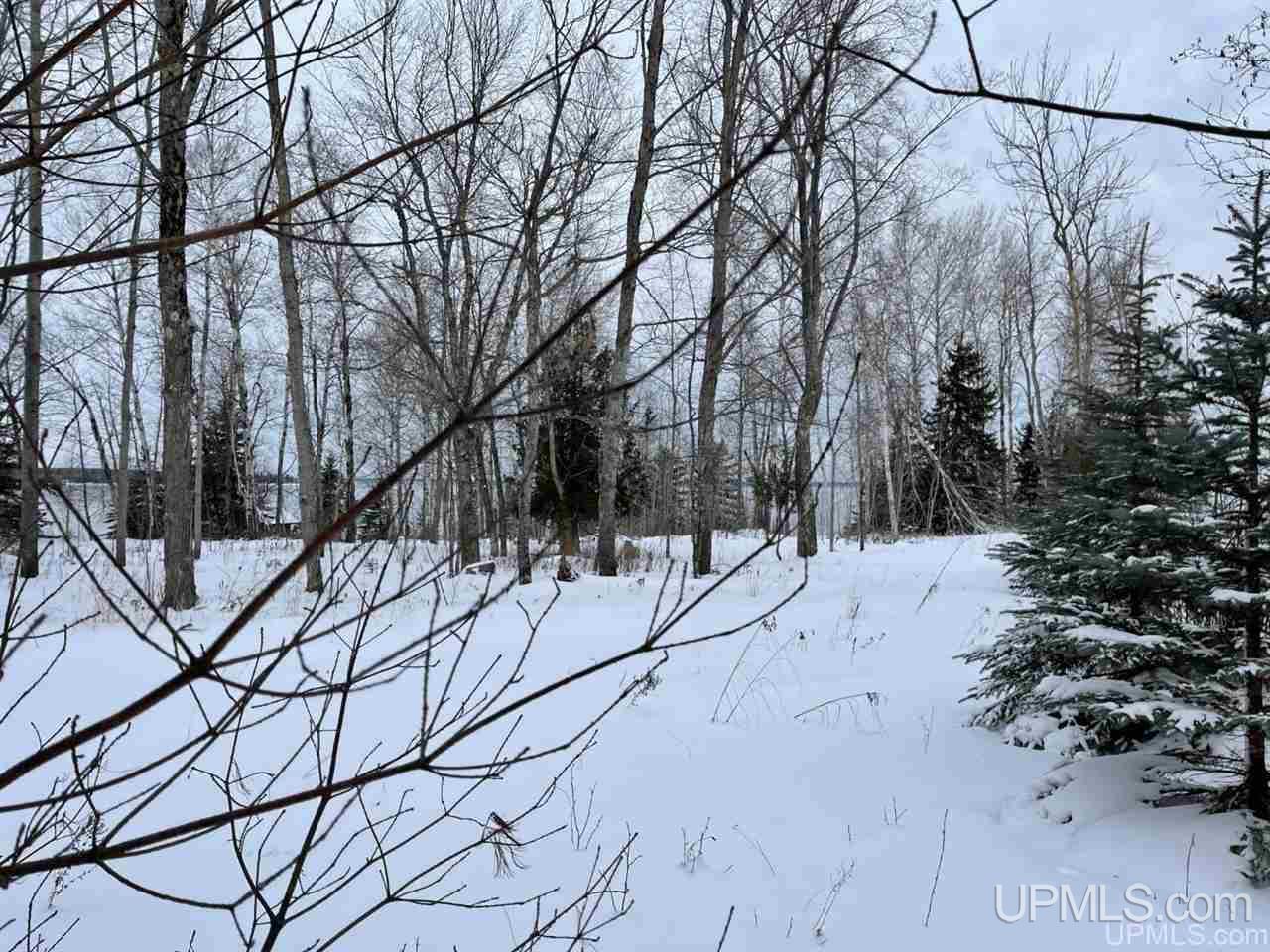 Tbd 2nd Sand Beach Road Lanse, MI 49946 - Photo 6 of 8