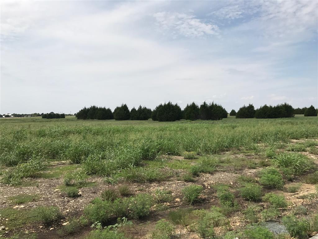 a view of a field with a tree in the background