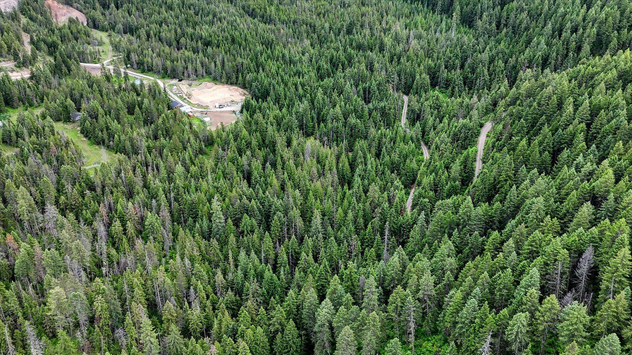 Nkn Bead Lake Road Newport, WA 99156 - Photo 3 of 44 Gallery Image 3