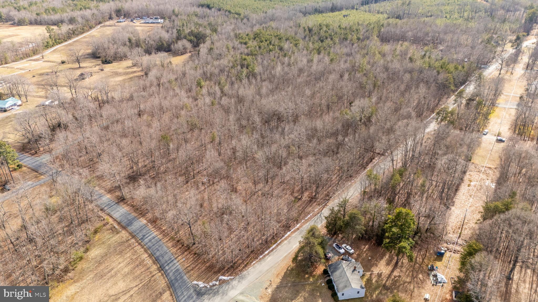 82 Cosner Road Louisa, VA 23093 - Photo 2 of 10