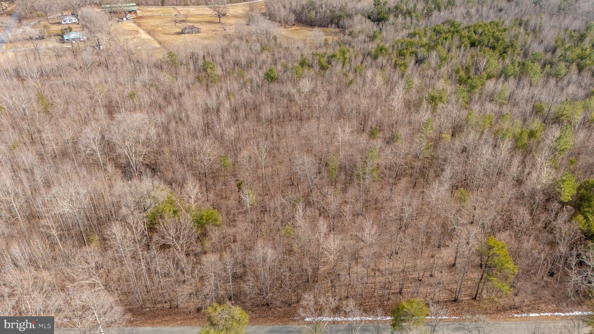 82 Cosner Road Louisa, VA 23093 - Photo 3 of 10 a view of a yard