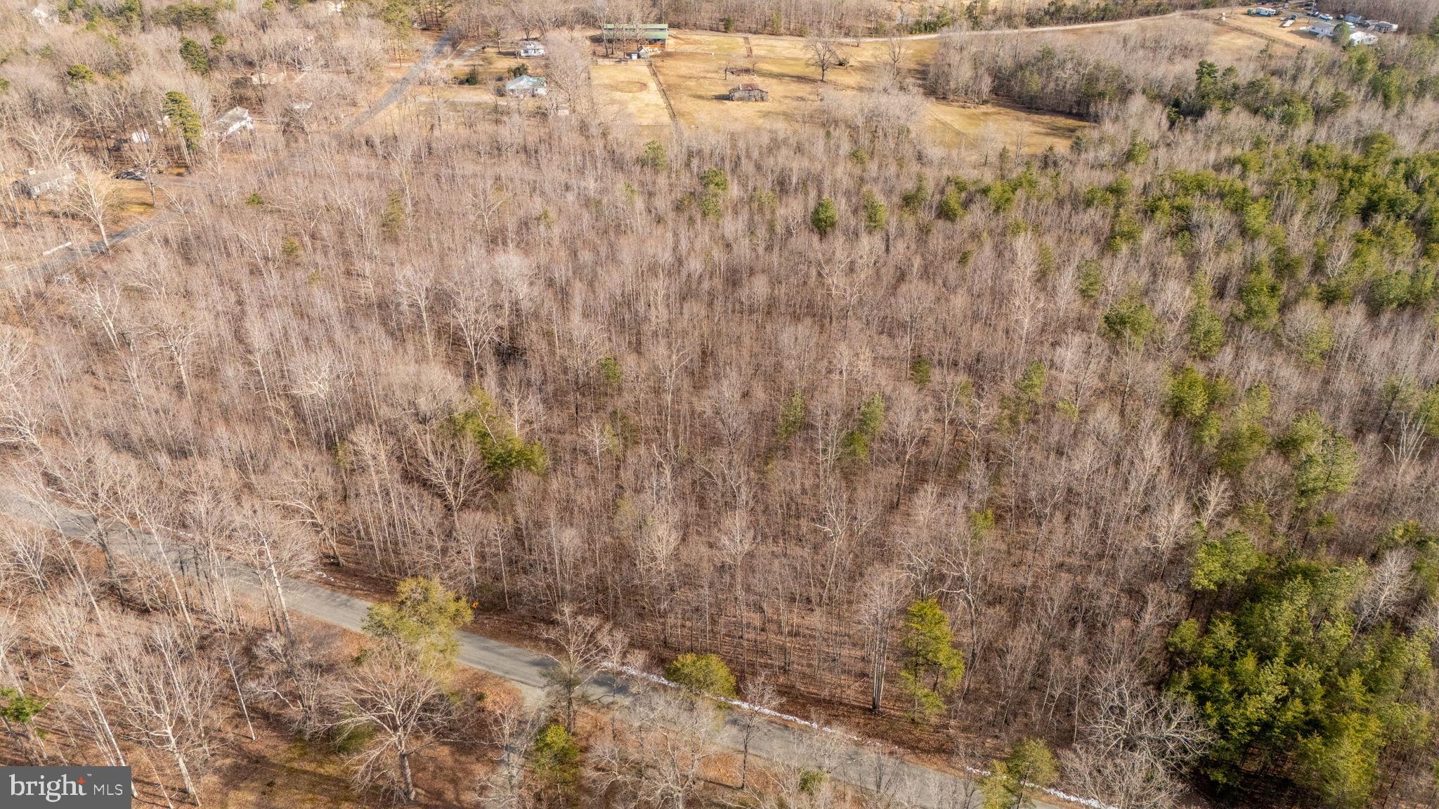 82 Cosner Road Louisa, VA 23093 - Photo 4 of 10 a view of a yard