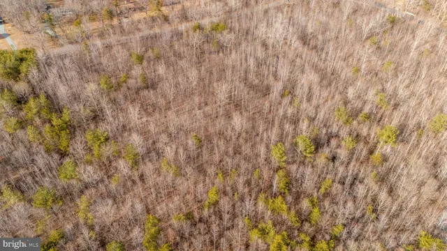 a view of a dry yard