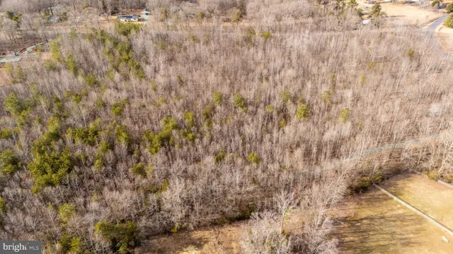 a close up view of a plant