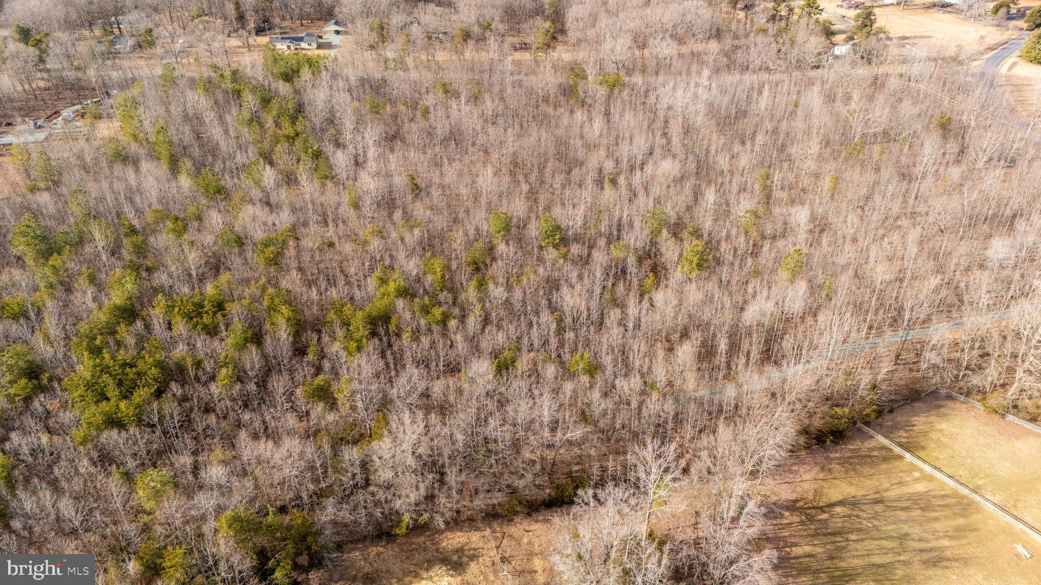 82 Cosner Road Louisa, VA 23093 - Photo 6 of 10 a view of a dry yard