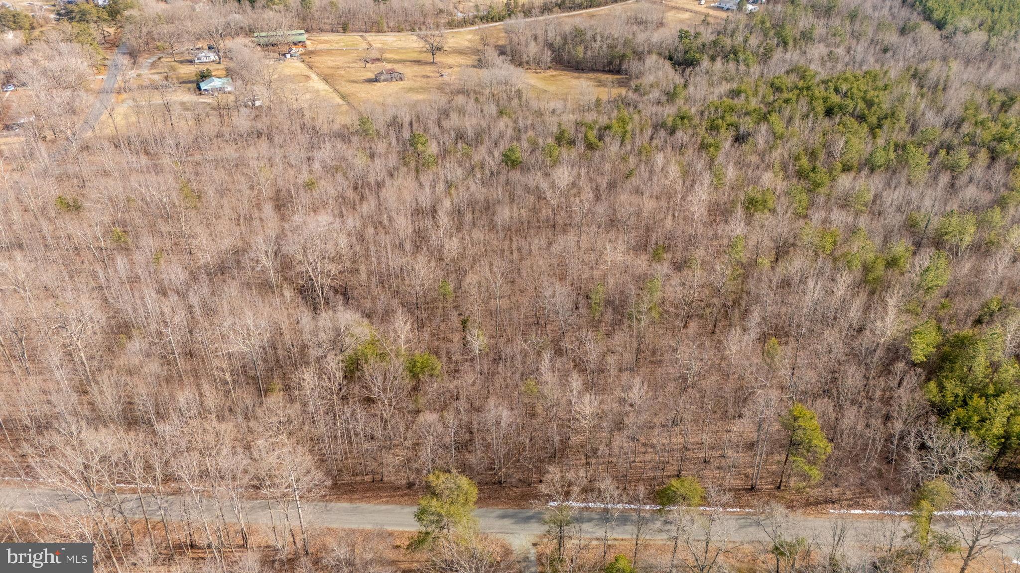 82 Cosner Road Louisa, VA 23093 - Photo 8 of 10 a view of a lake view