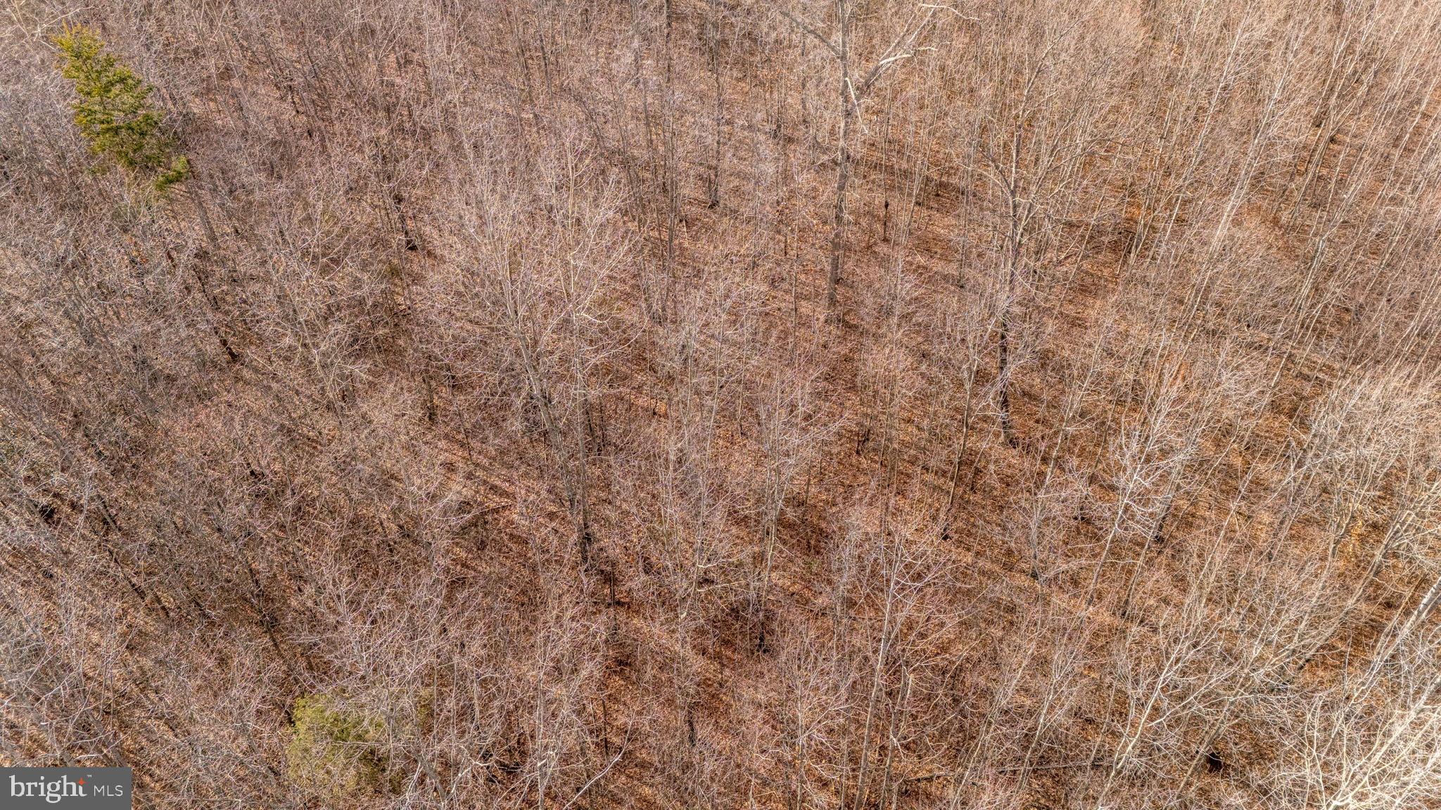 82 Cosner Road Louisa, VA 23093 - Photo 9 of 10 a close up of a wall