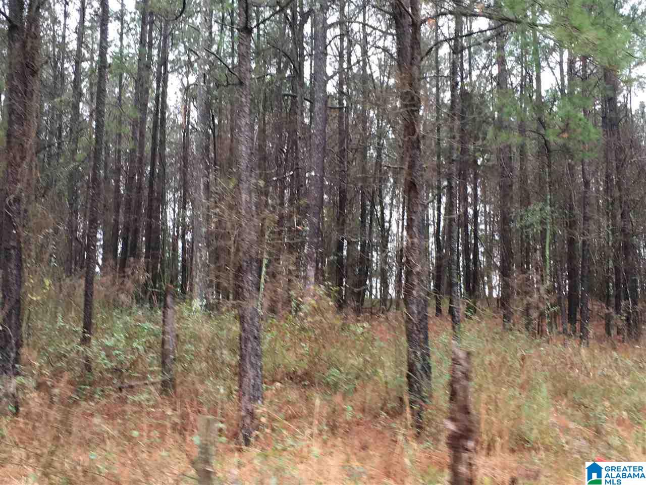 1245 Eureka Road, Unit 2 Lincoln, AL 35096 - Photo 30 of 32