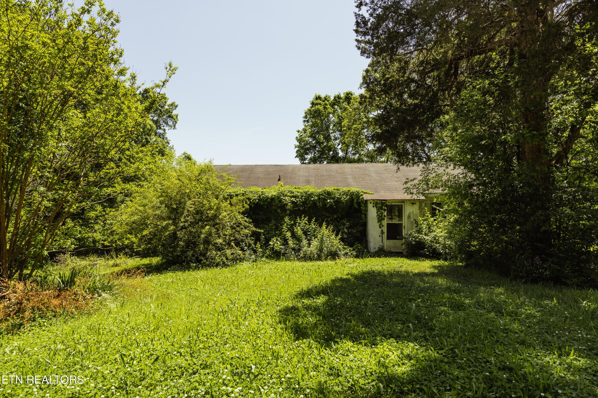 5937 Morganton Road Greenback, TN 37742 - Photo 23 of 47 Gallery Image 23