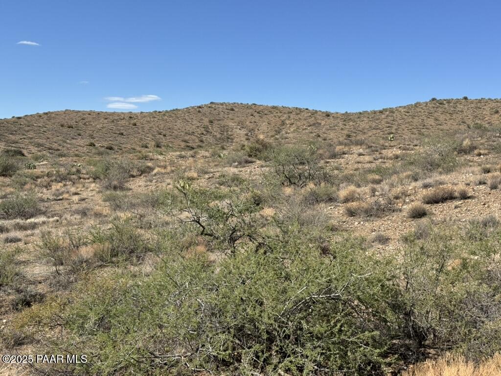 12782 South Rocking Lake Lane Mayer, AZ 86333 - Photo 7 of 13 a view of a dry yard