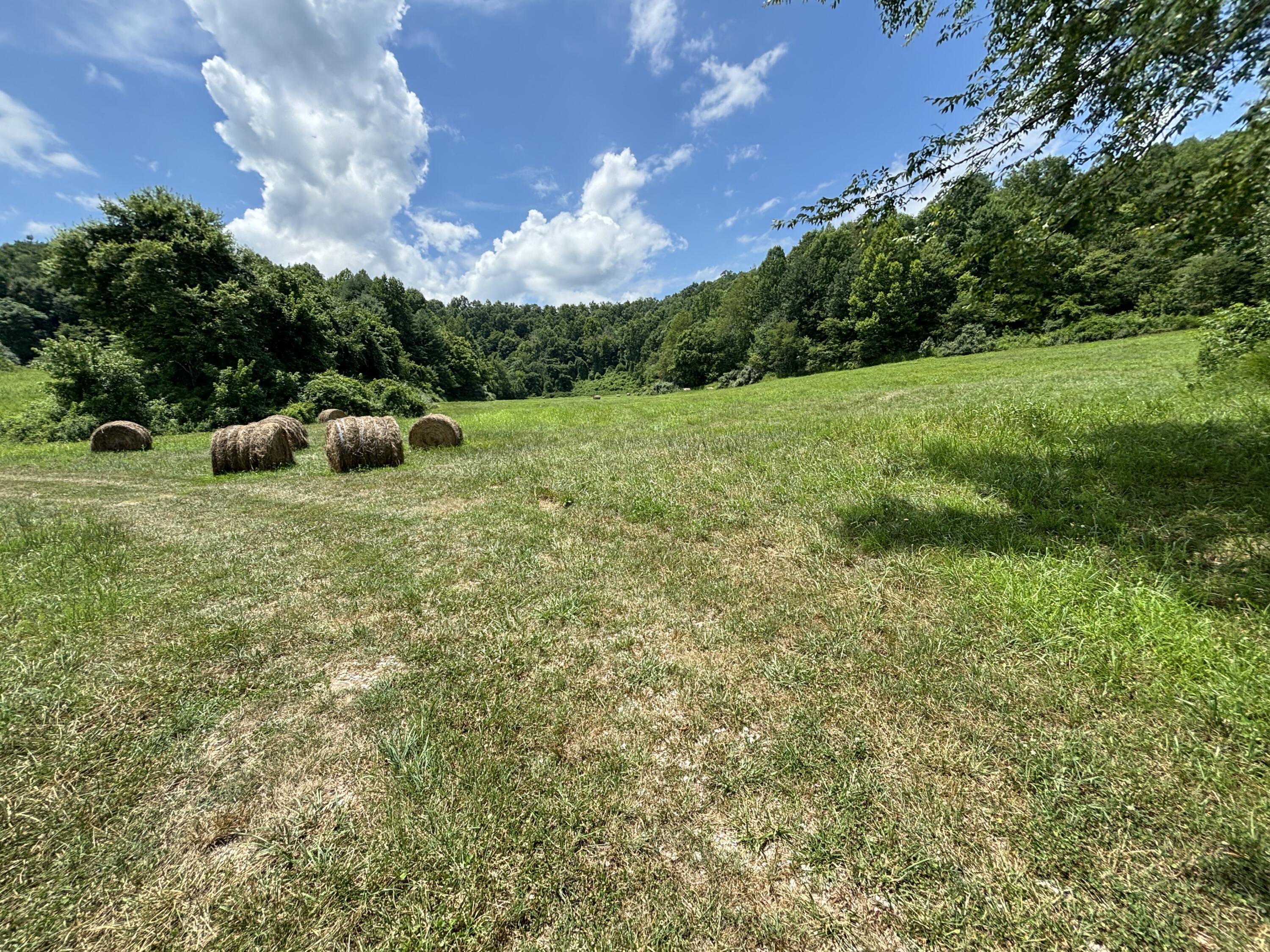 1431 Bull Run Road Barbourville, KY 40906 - Photo 7 of 24 IMG_0053