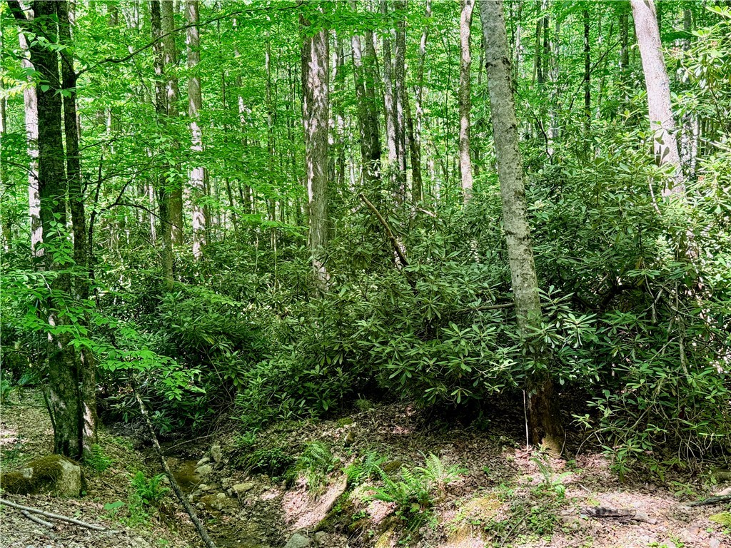 Lot 5 Buckeye Ridge Road Beech Mountain, NC 28604 - Photo 12 of 12