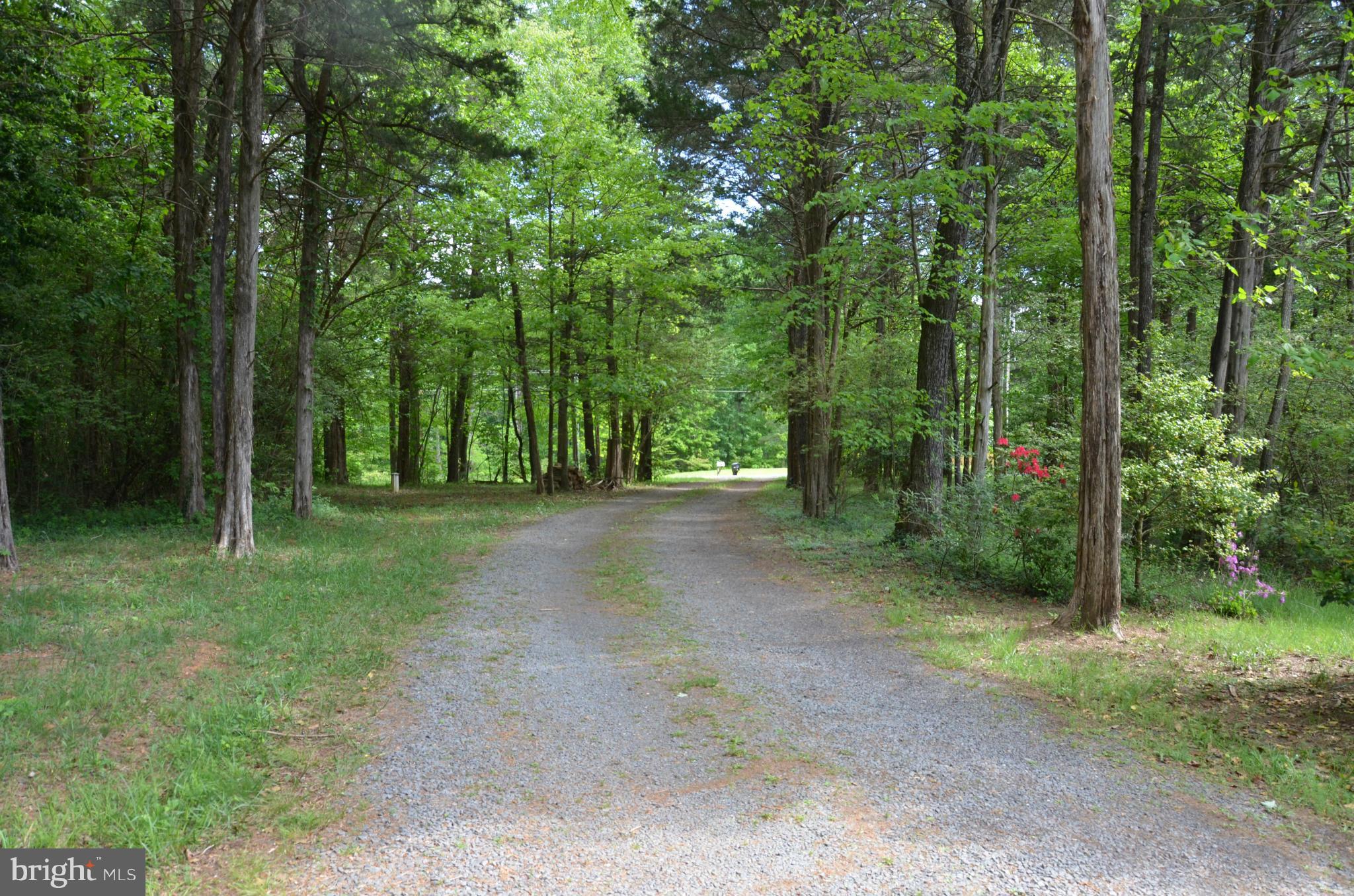 24364 Eleys Ford Road Lignum, VA 22726 - Photo 5 of 15 Driveway leading to Home