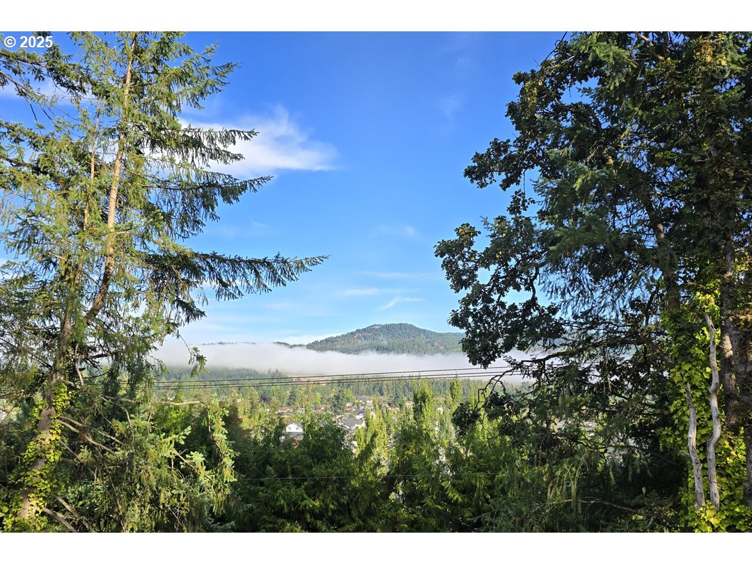 3442 River Heights Drive Springfield, OR 97477 - Photo 44 of 44