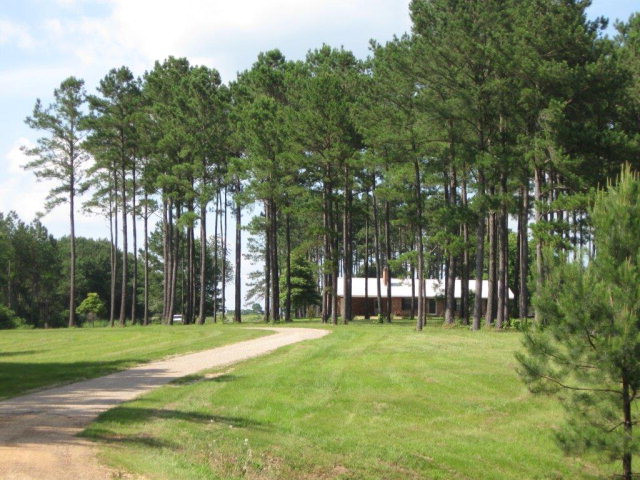 265 Old Sebe Watts Road Columbia, MS 39429 - Photo 1 of 1 Main View