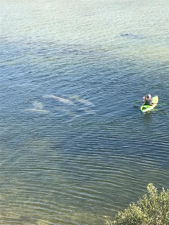 3236 Gulf Winds Circle Hernando Beach, FL 34607 - Photo 93 of 96 a view of bathroom with small stainless steel appliances