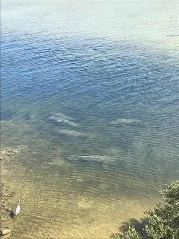 $2,875,000 | 3236 Gulf Winds Circle, Hernando Beach, FL 34607