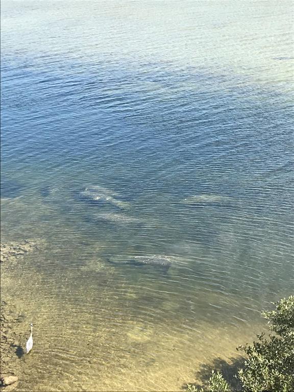 3236 Gulf Winds Circle Hernando Beach, FL 34607 - Photo 94 of 96