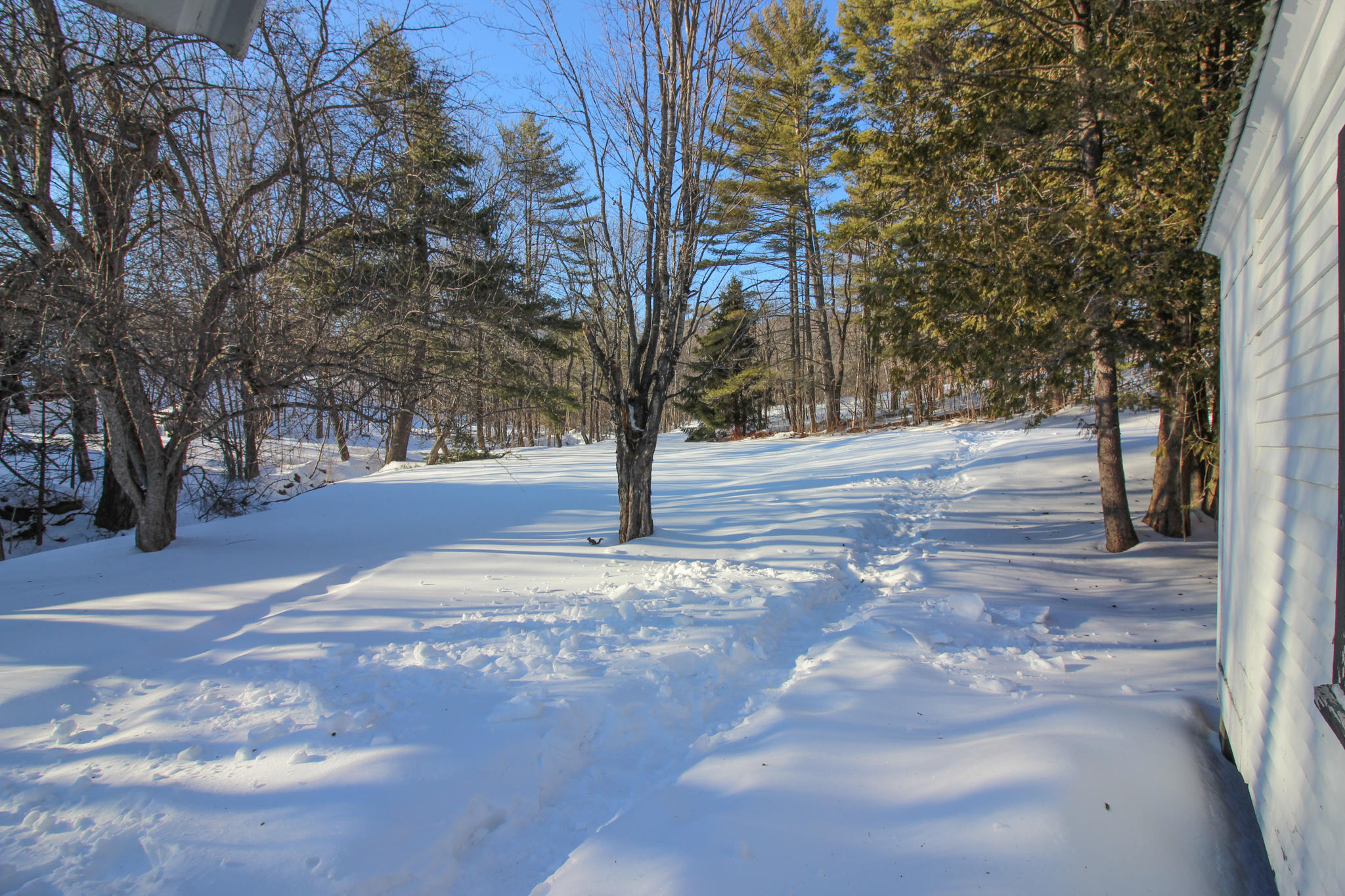 44 Howard Pond Road Hanover, ME 04237 - Photo 2 of 34 IMG_0596