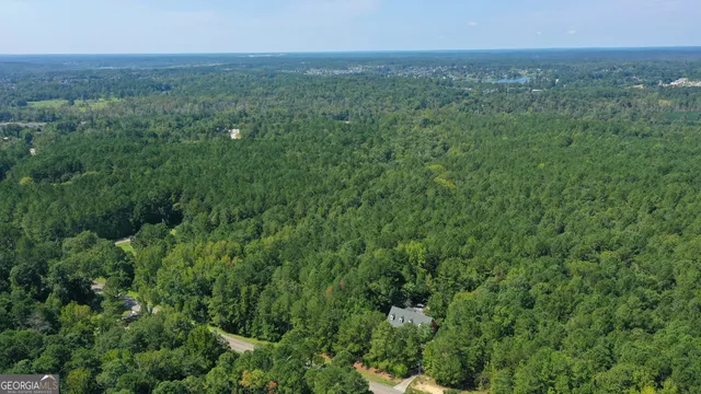 a view of a green field with lots of bushes