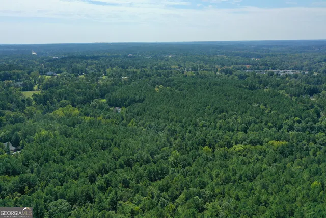a view of a big yard with lots of green space and deers
