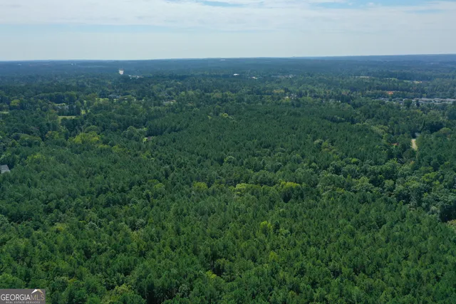 a view of a green field with lots of bushes