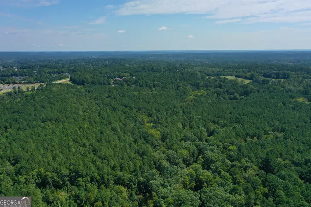 a view of a city with lush green space