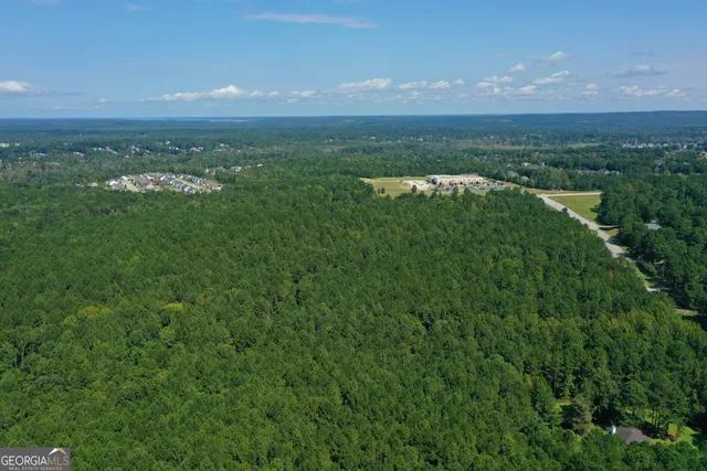 a view of a city with green space